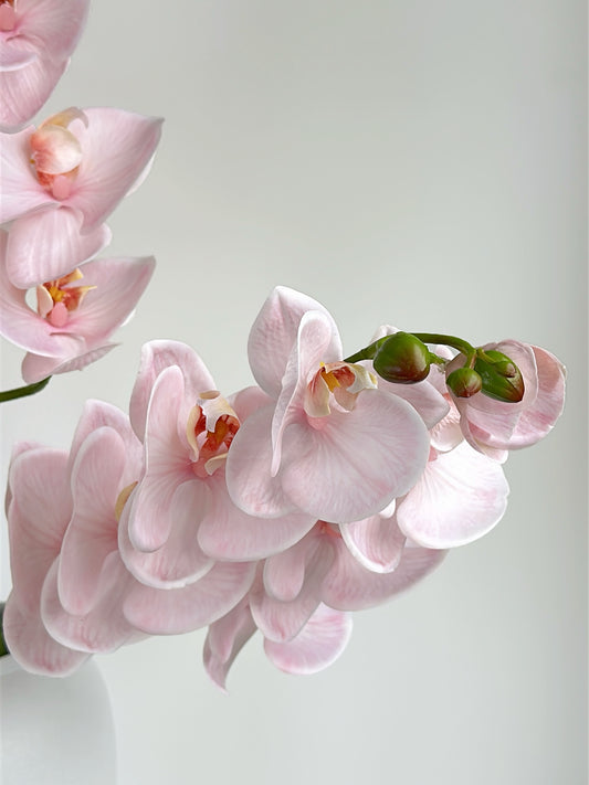 Deluxe Real Touch Phalaenopsis Orchid in Blush Pink (Single-Stem Price)