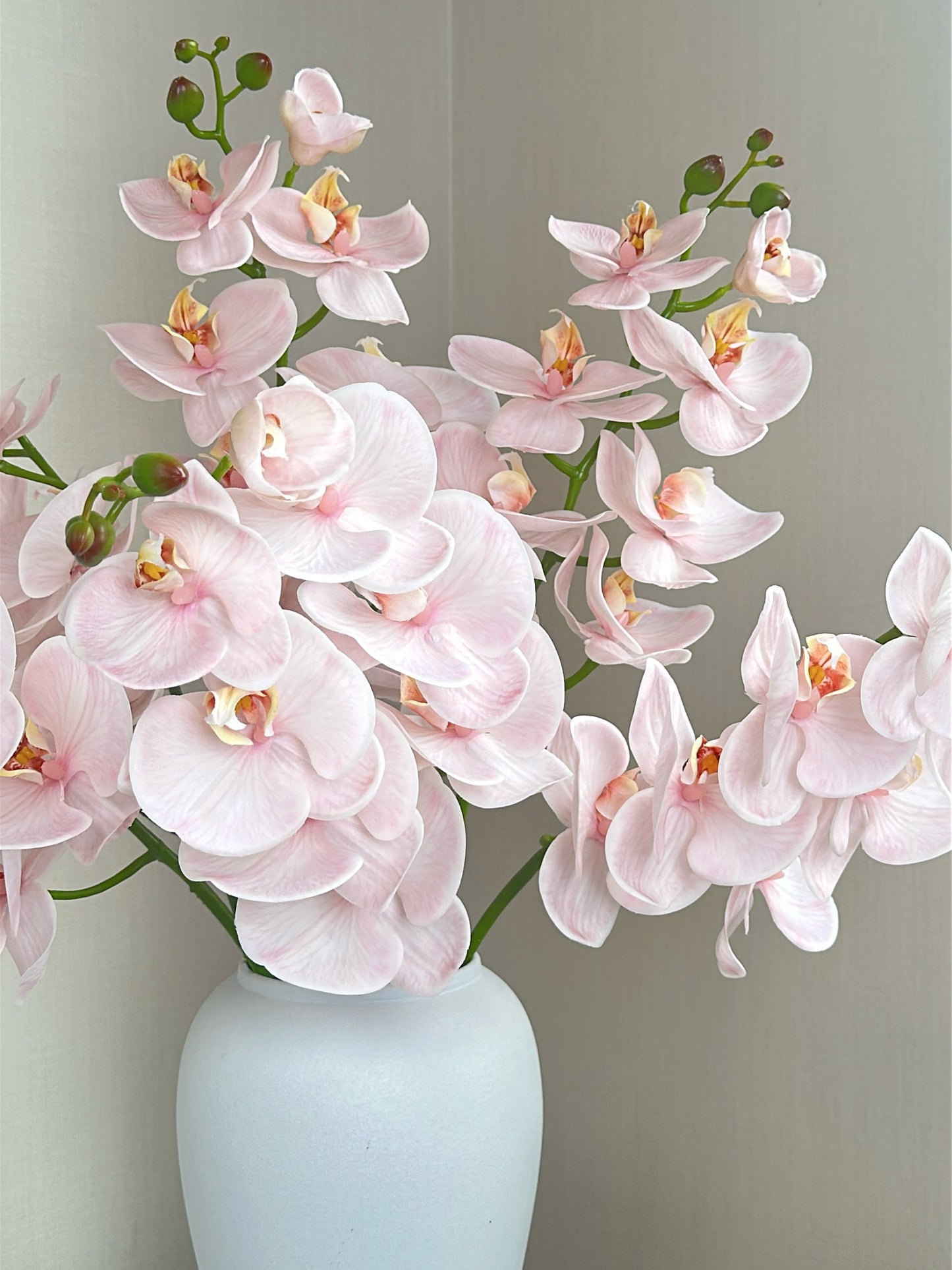 Deluxe Real Touch Phalaenopsis Orchid in Blush Pink (Single-Stem Price)
