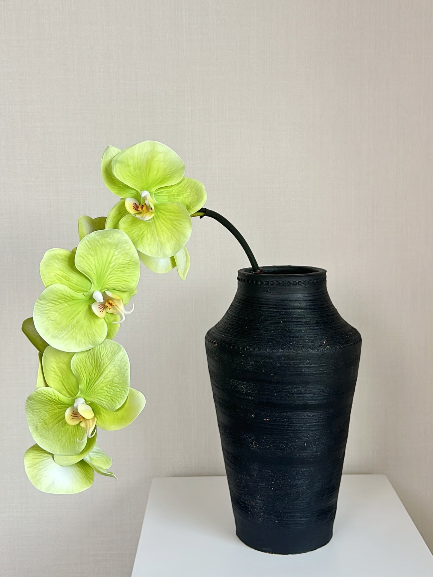 Deluxe Real Touch Phalaenopsis Orchid in Green (Single-Stem Price)