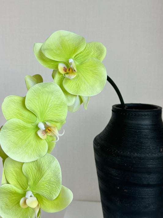 Deluxe Real Touch Phalaenopsis Orchid in Green (Single-Stem Price)