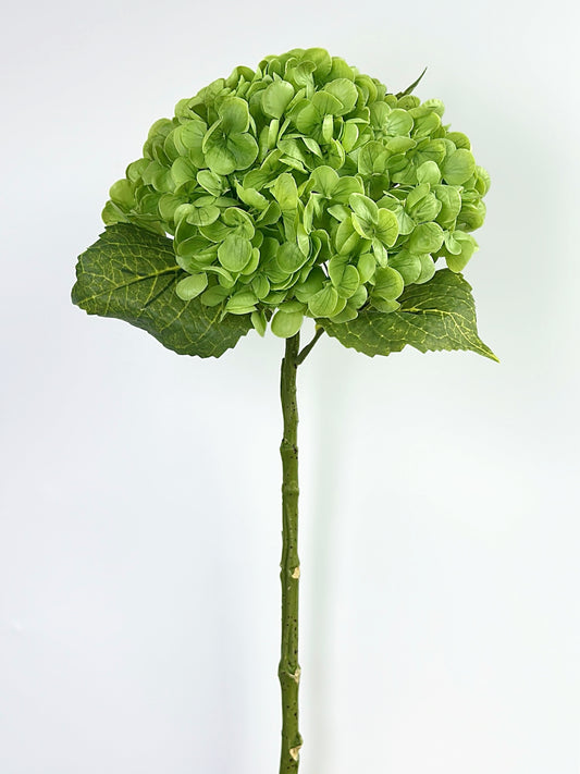 Leafy Green Real Touch Hydrange (Single-Stem Price)