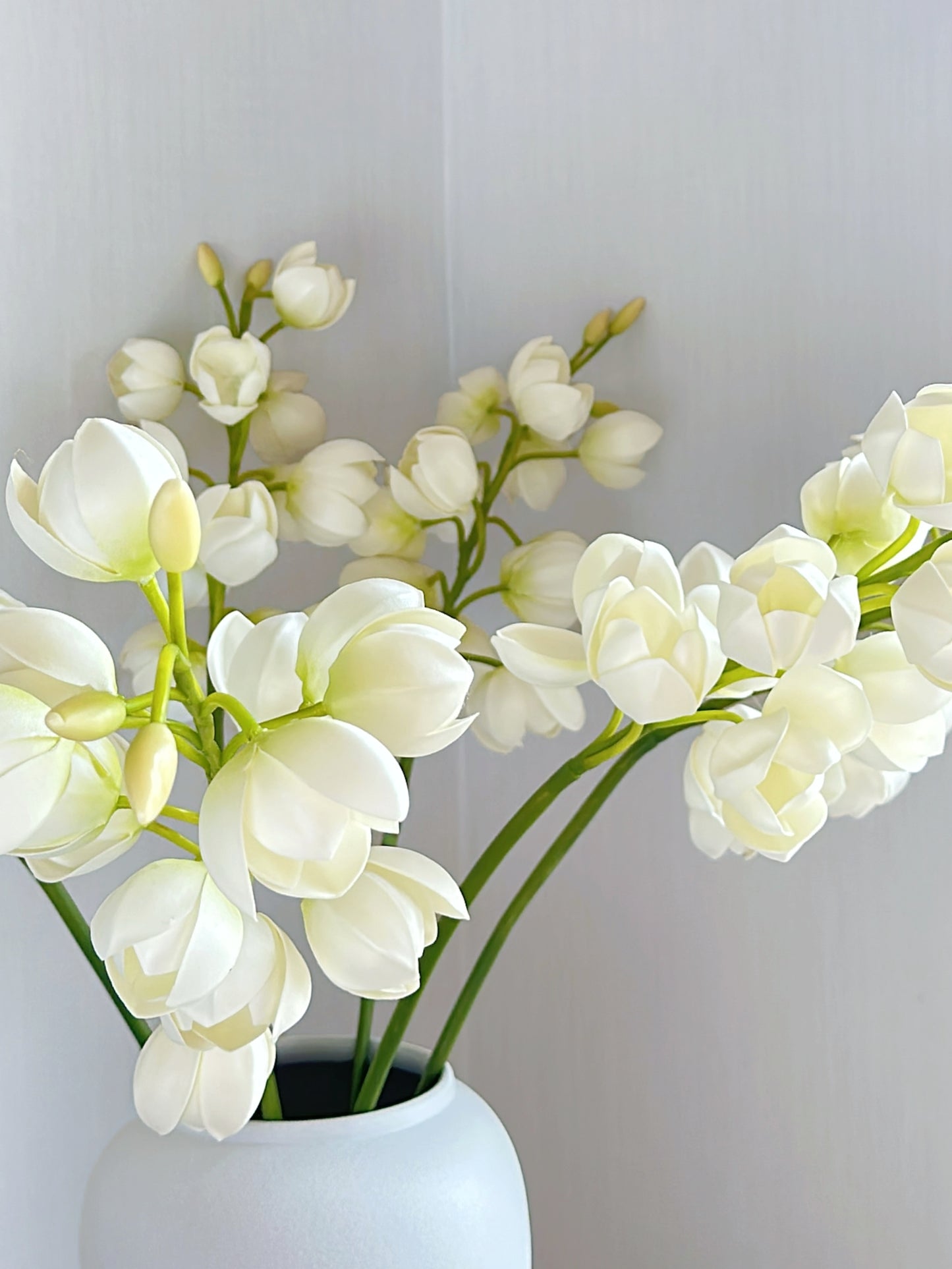White Lily of Valley