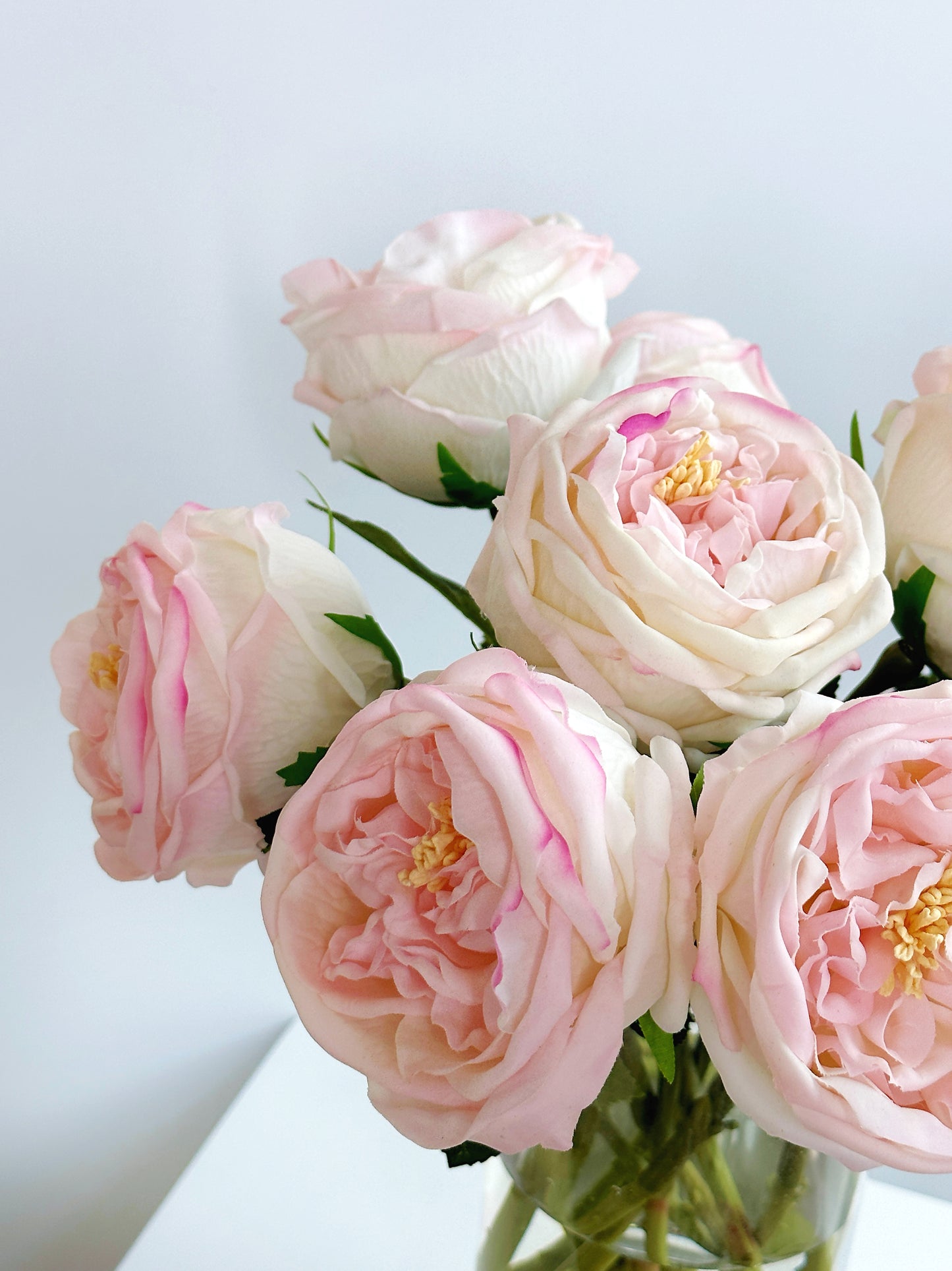 Real Touch Austin Cabbage Rose in Pink (Single-Stem Price)