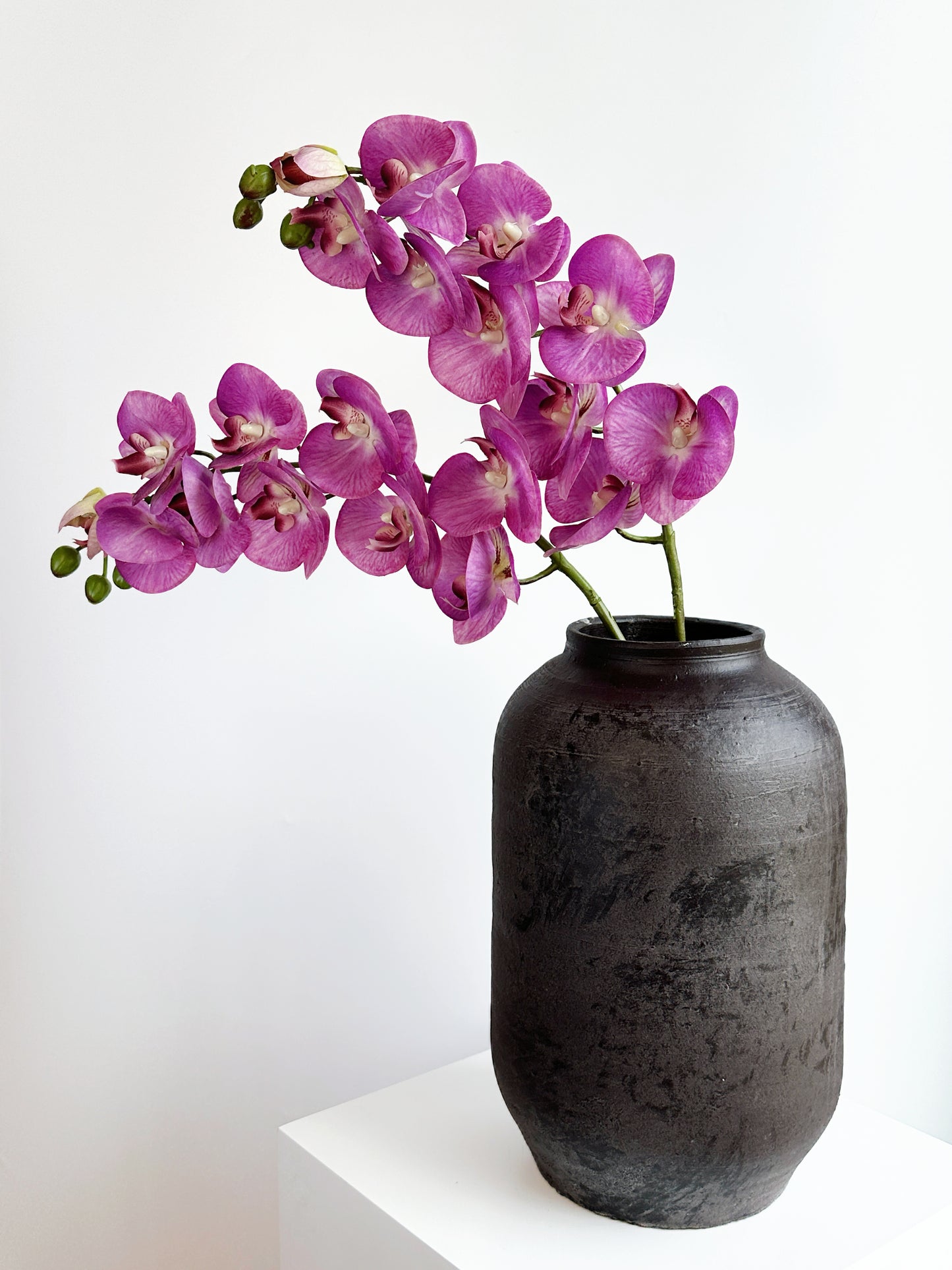 Purple Real Touch Phalaenopsis Orchid (Single-Stem Price)