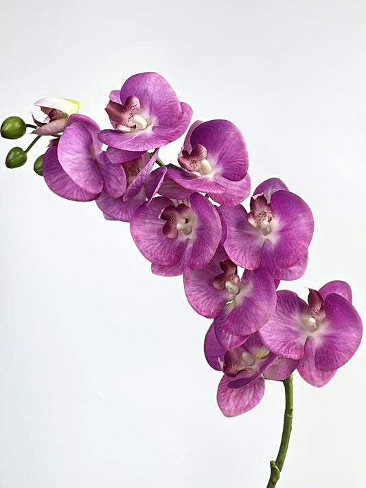 Purple Real Touch Phalaenopsis Orchid (Single-Stem Price)