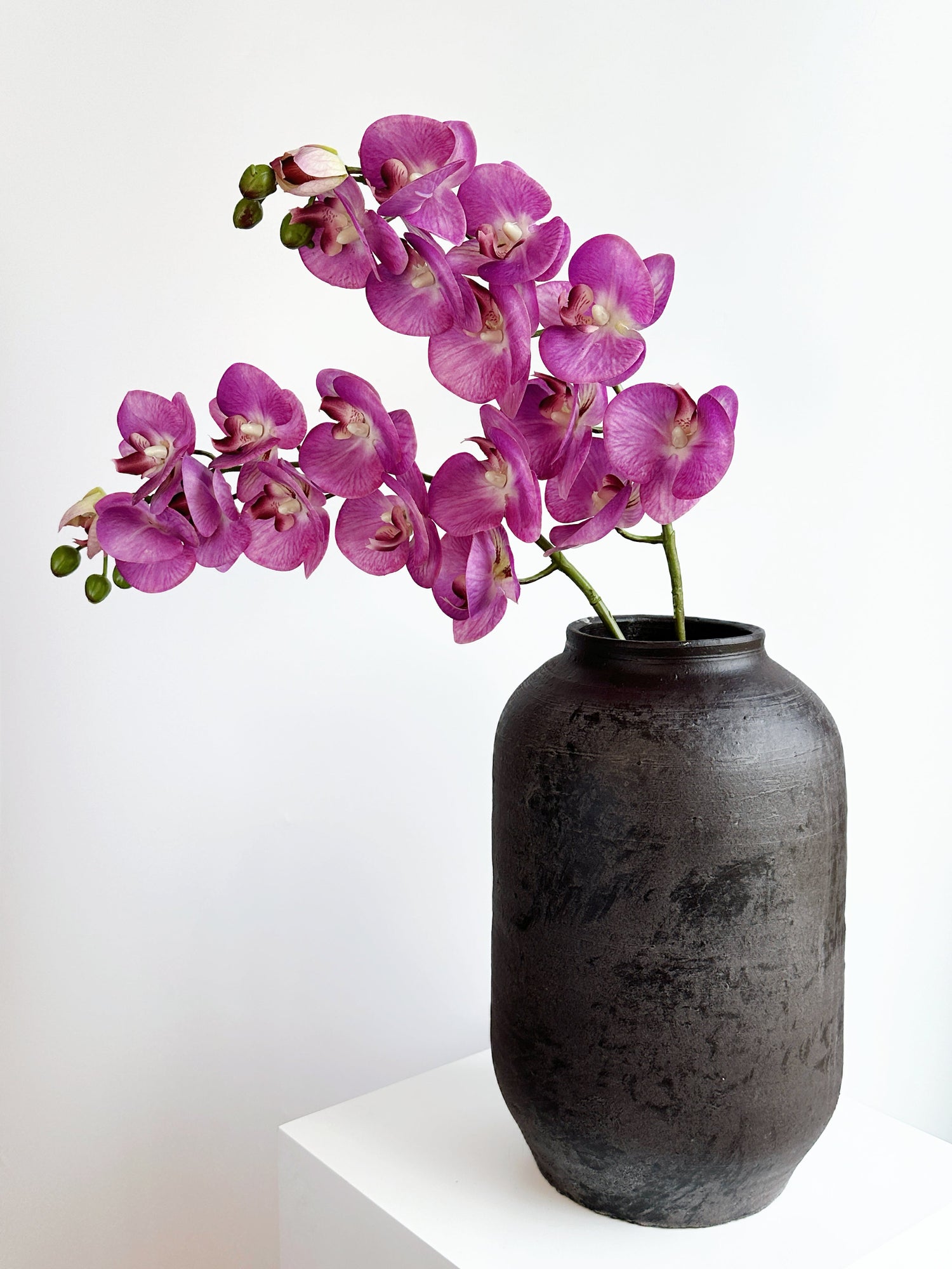 ORCHIDS & LILACS