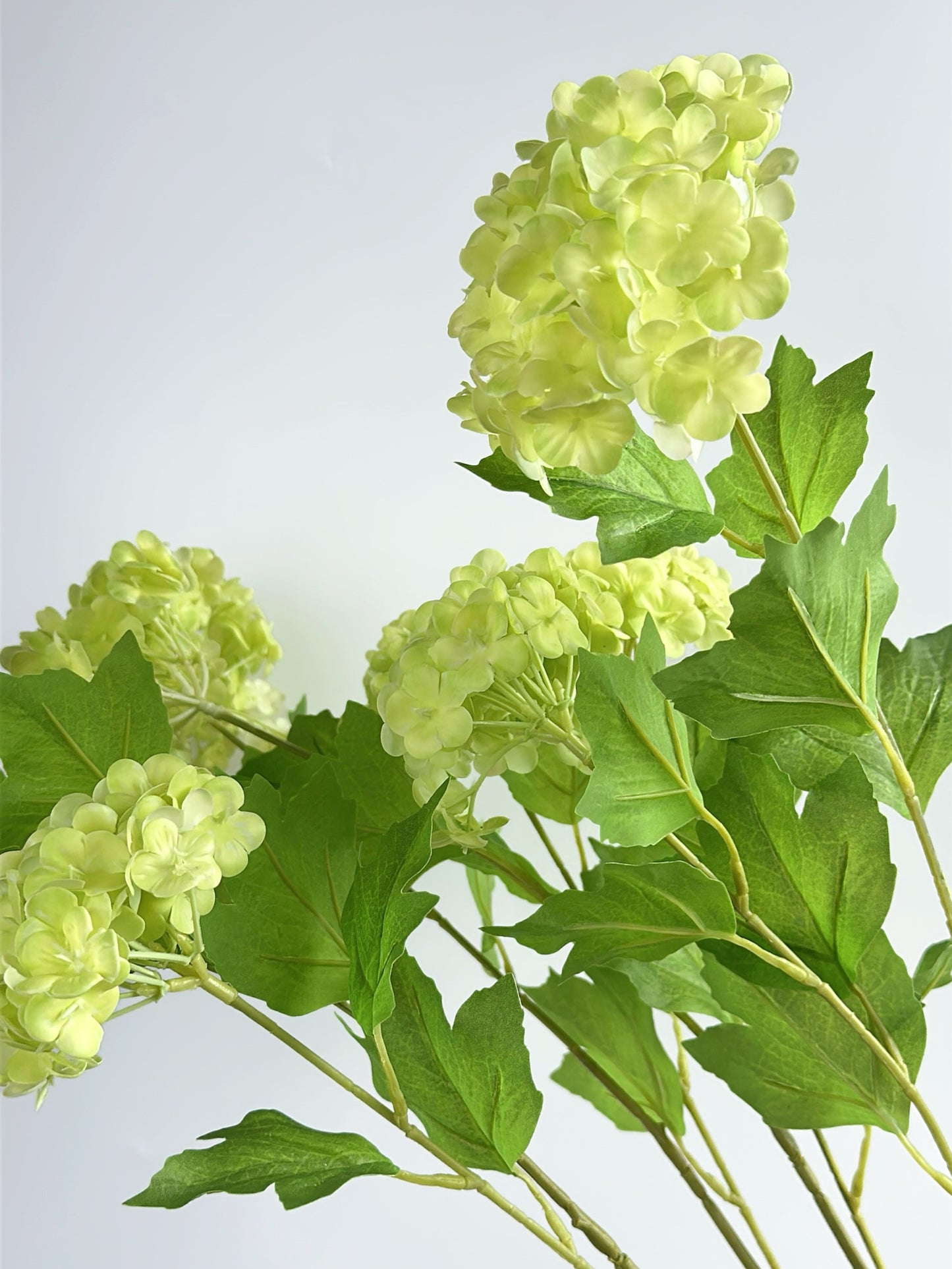 Real Touch Snowball Flower in Bud Green