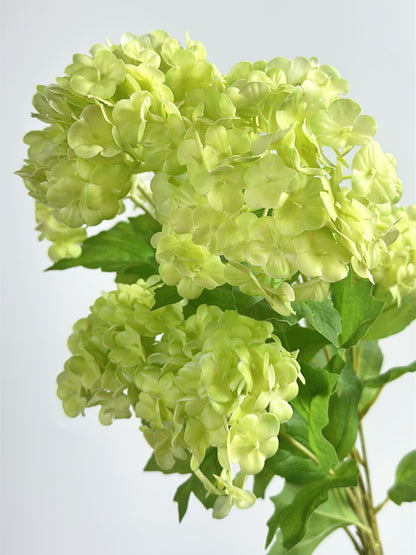 Real Touch Snowball Flower in Bud Green