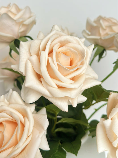 Deluxe Real Touch Rose in Champagne Color (Single-Stem Price)