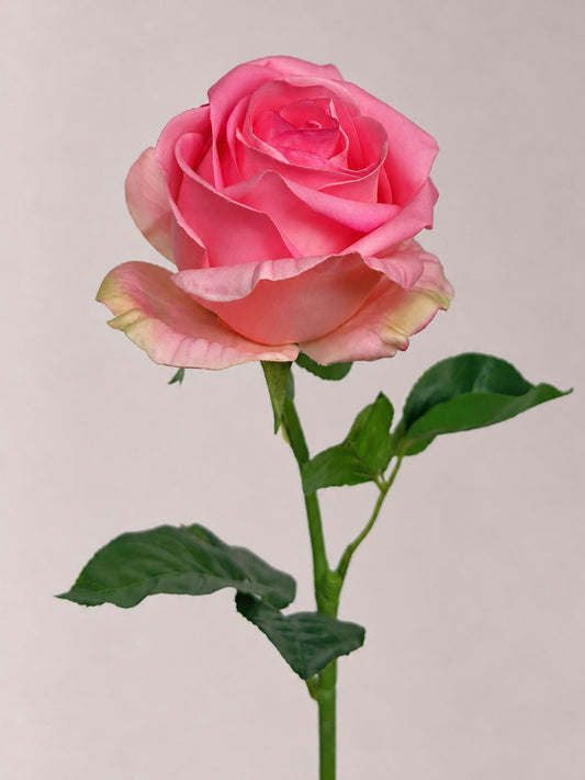 Deluxe Real Touch Rose in Bridal Blush Pink - 1 Stem