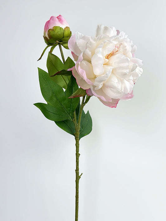2-Head Luxury Peony Flower in Blush Pink