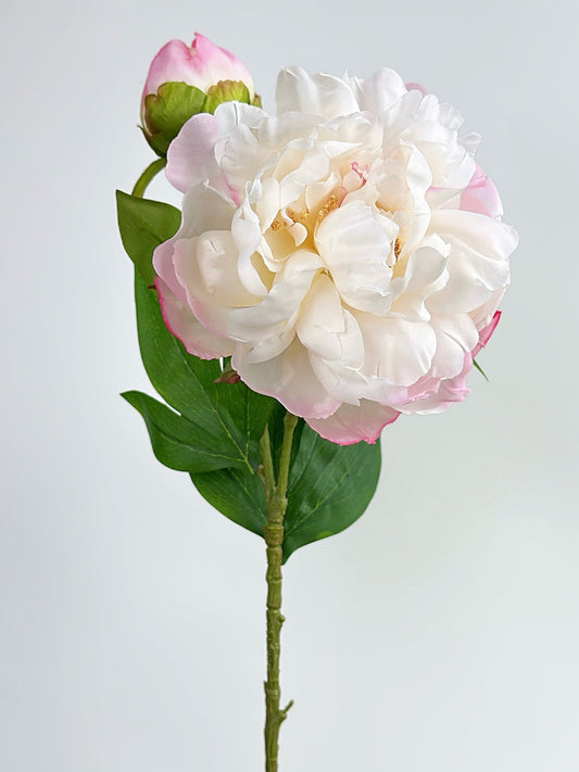 2-Head Luxury Peony Flower in Blush Pink