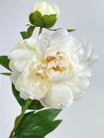 2-Head Luxury Peony Flower in Cream White