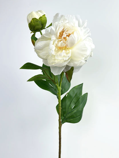 2-Head Luxury Peony Flower in Cream White