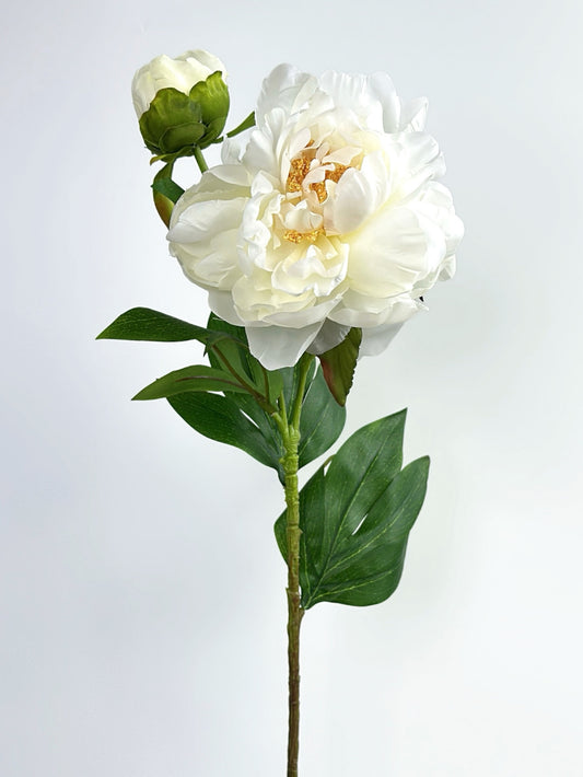 2-Head Luxury Peony Flower in Cream White