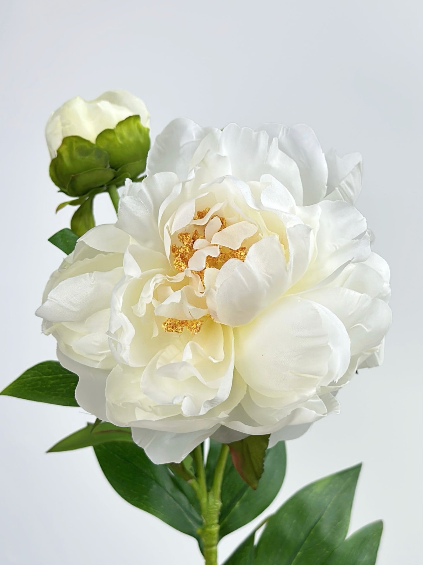 2-Head Luxury Peony Flower in Cream White