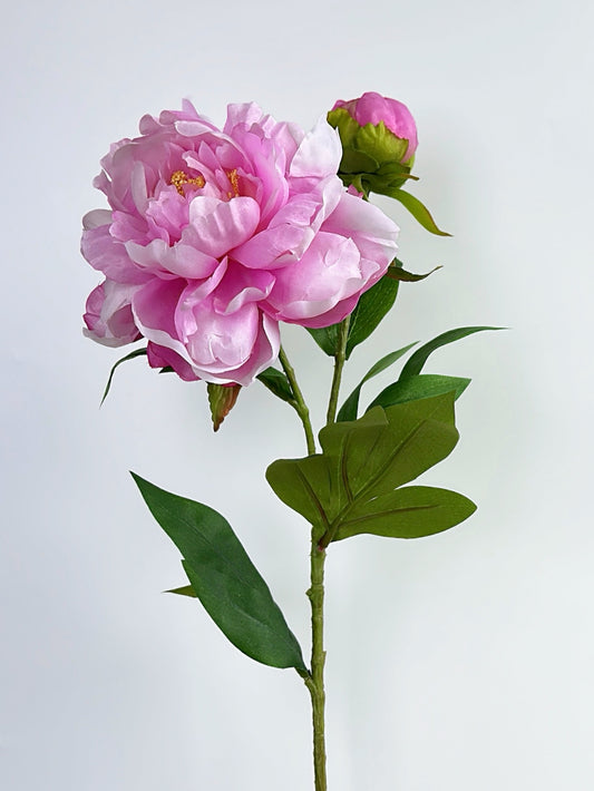 2-Head Luxury Peony Flower in Purple Pink