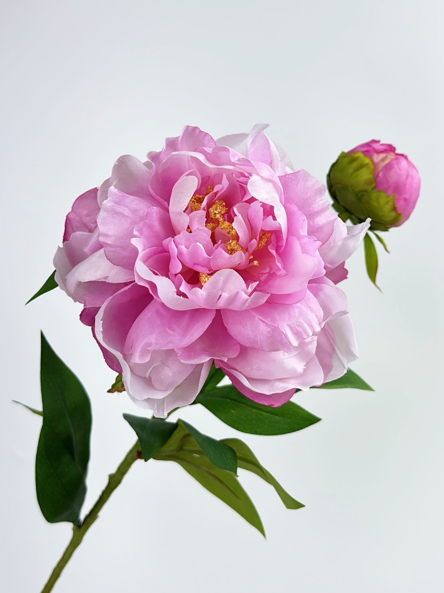 2-Head Luxury Peony Flower in Purple Pink