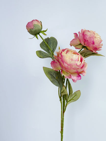 3-Head Oil Painting Peony in Dusty Rose