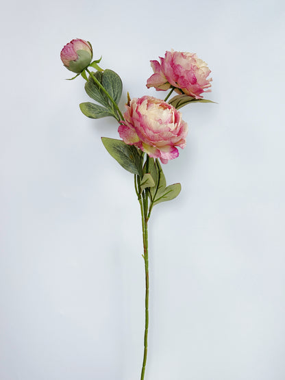 3-Head Oil Painting Peony in Dusty Rose