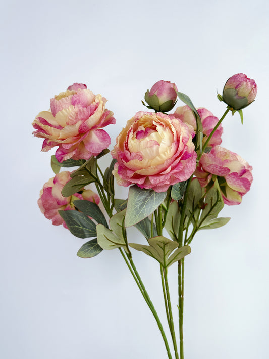 3-Head Oil Painting Peony in Dusty Rose