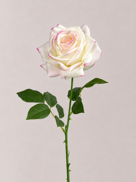 Deluxe Real Touch Rose in Blush Pink - 1 Stem