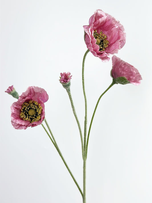 5-Head Faux Poppy in Venice Pink