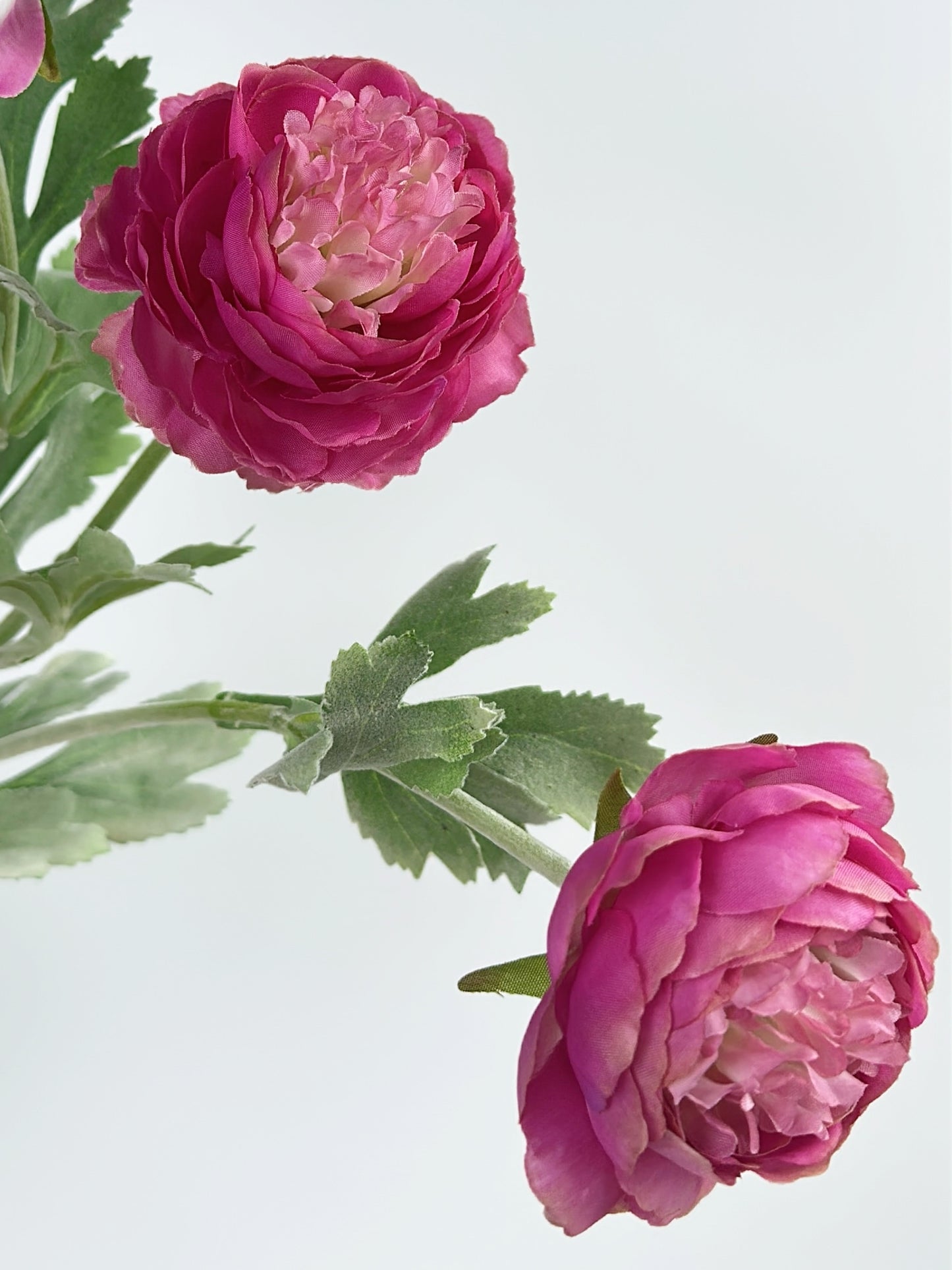 Artificial Blooming Ranunculus in Fuchsia Pink