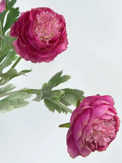 Artificial Blooming Ranunculus in Fuchsia Pink