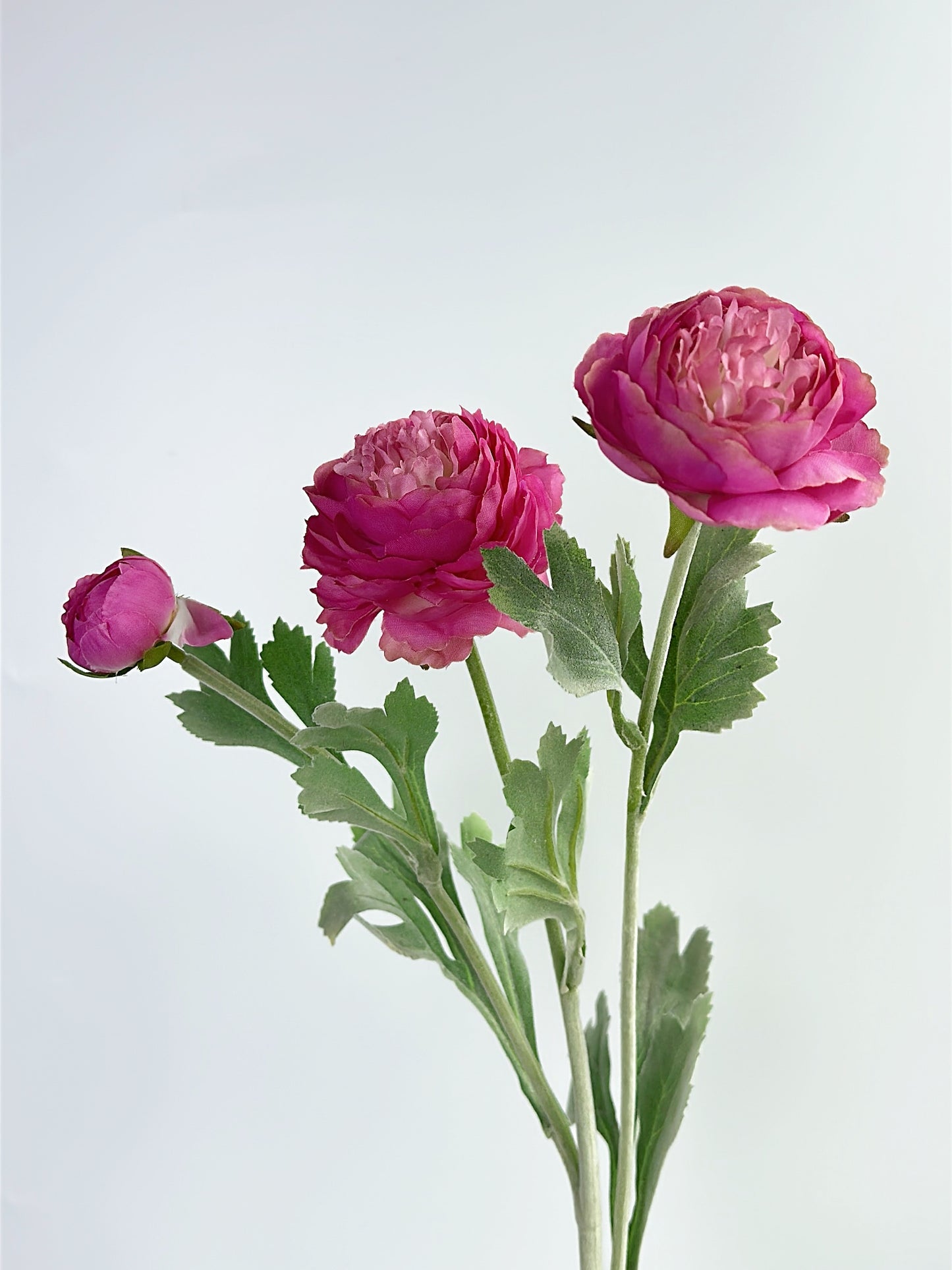 Artificial Blooming Ranunculus in Fuchsia Pink