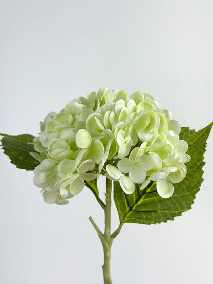 Cream Green Real Touch Hydrangea