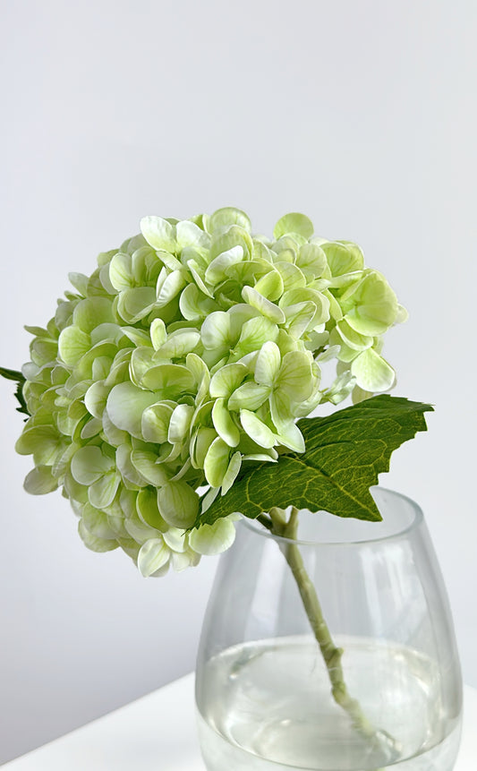 Cream Green Real Touch Hydrangea