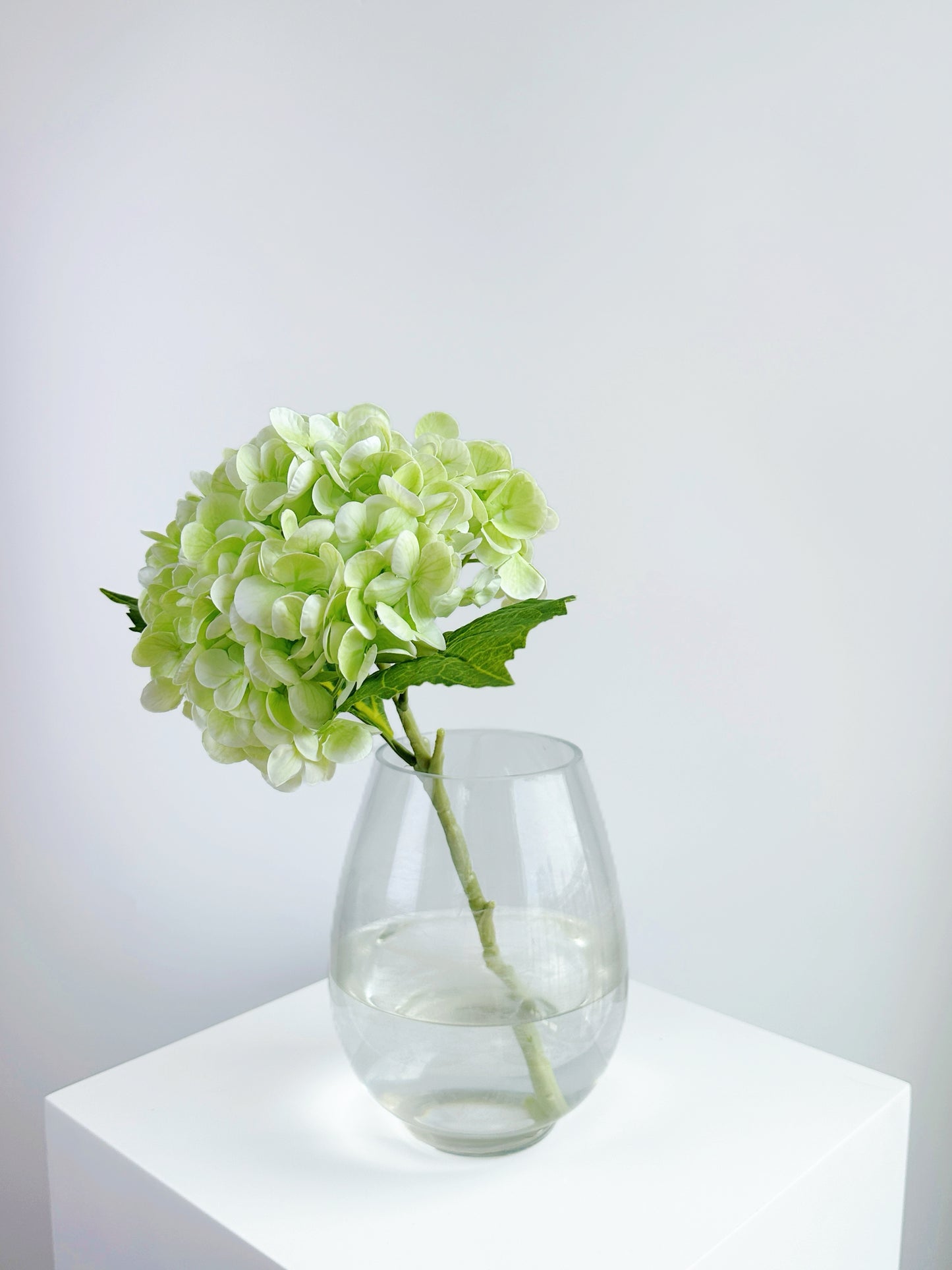 Cream Green Real Touch Hydrangea