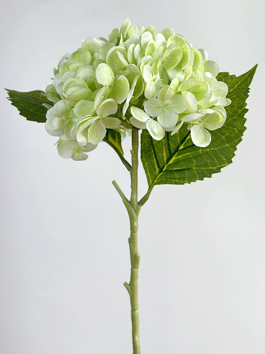 Cream Green Real Touch Hydrangea