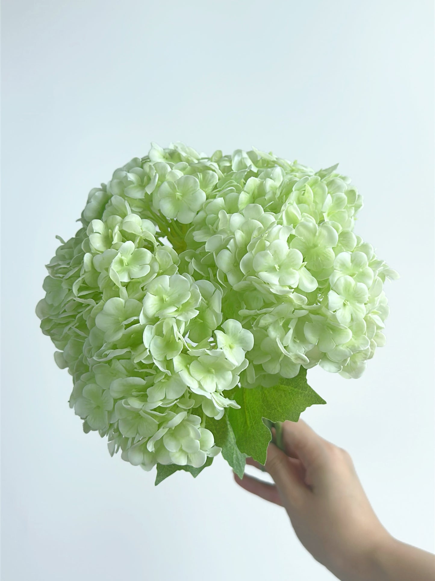 Cream Green Hydrangea Bouquet