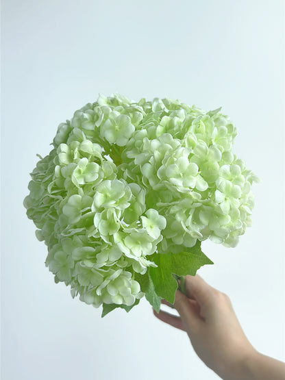Cream Green Hydrangea Bouquet