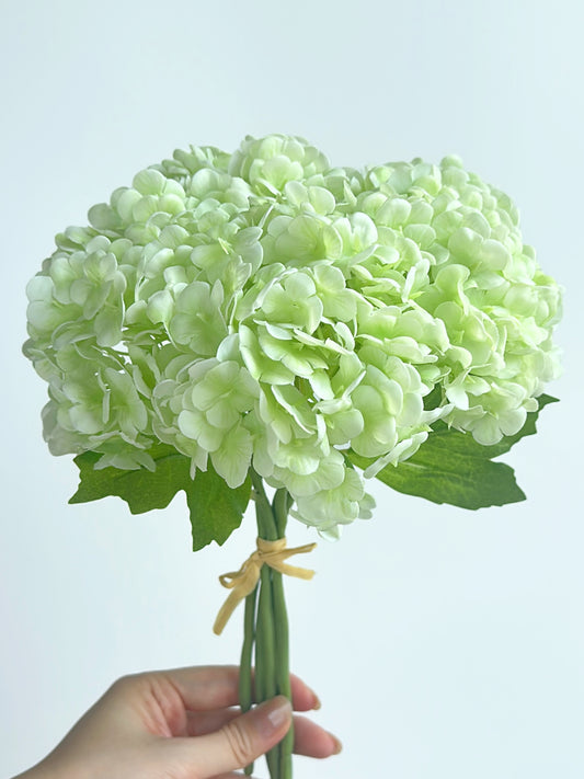 Cream Green Hydrangea Bouquet