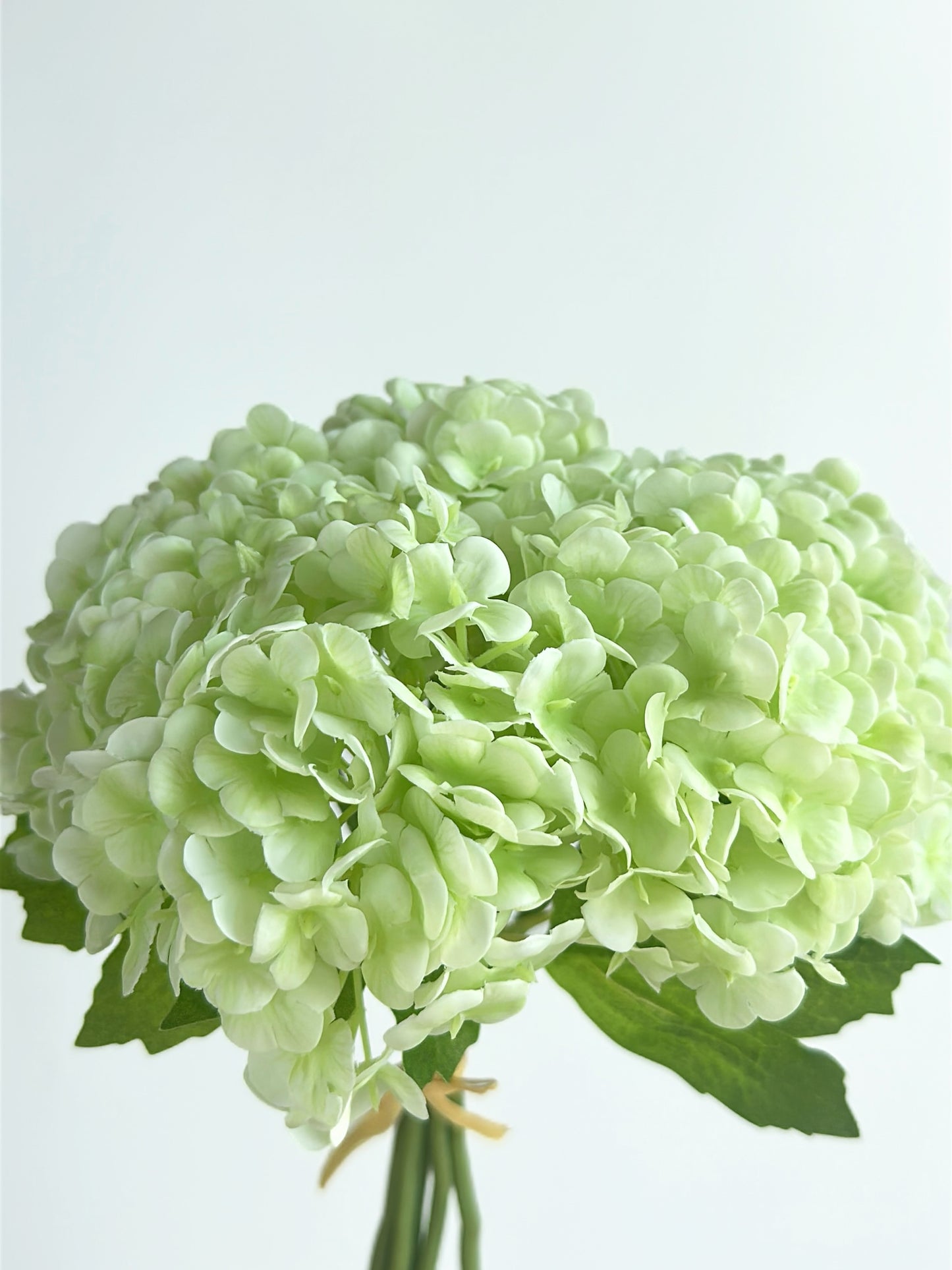 Cream Green Hydrangea Bouquet