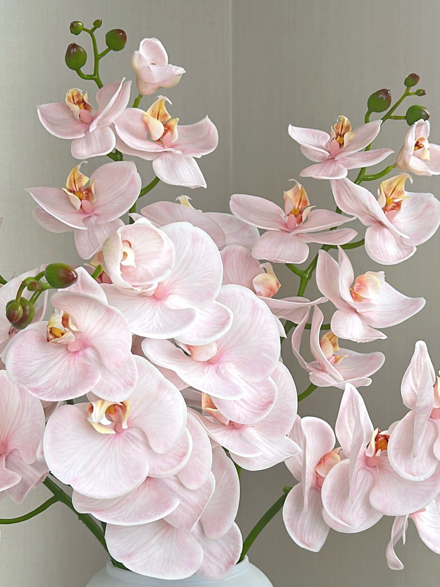 Deluxe Real Touch Phalaenopsis Orchid in Blush Pink