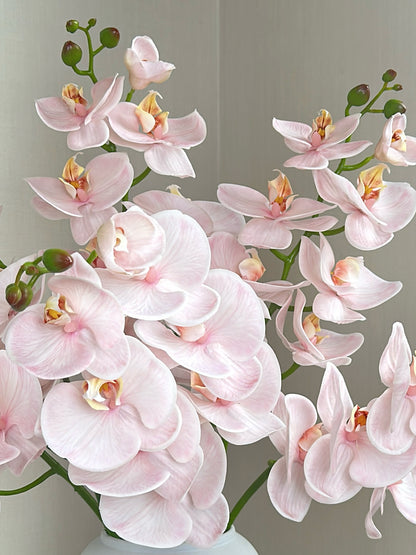 Deluxe Real Touch Phalaenopsis Orchid in Blush Pink