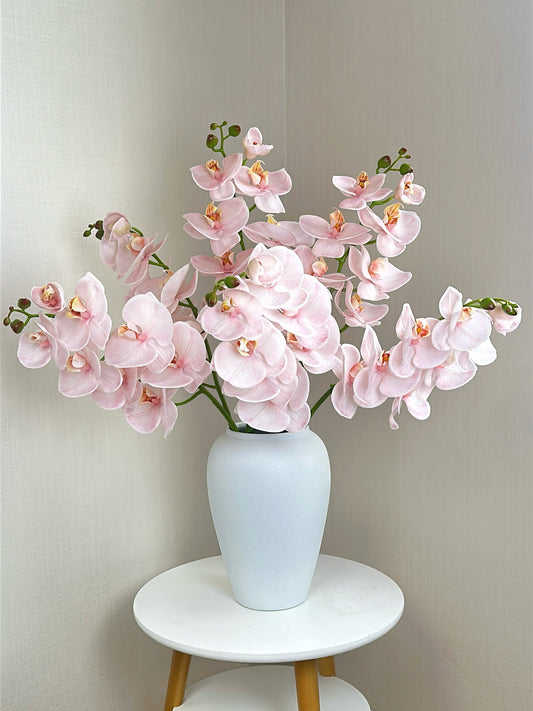 Deluxe Real Touch Phalaenopsis Orchid in Blush Pink