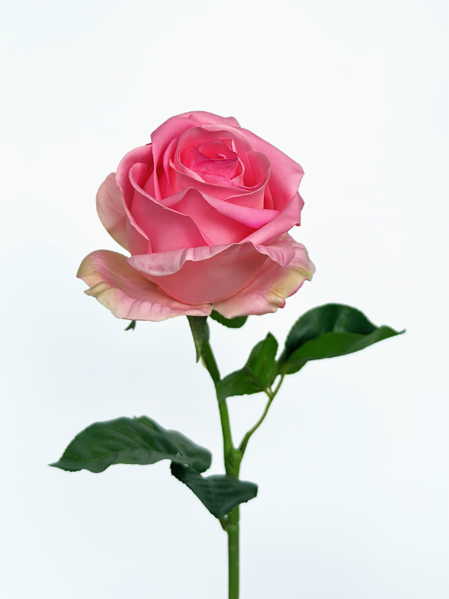 Deluxe Real Touch Rose in Bridal Blush Pink (Single-Stem Price)