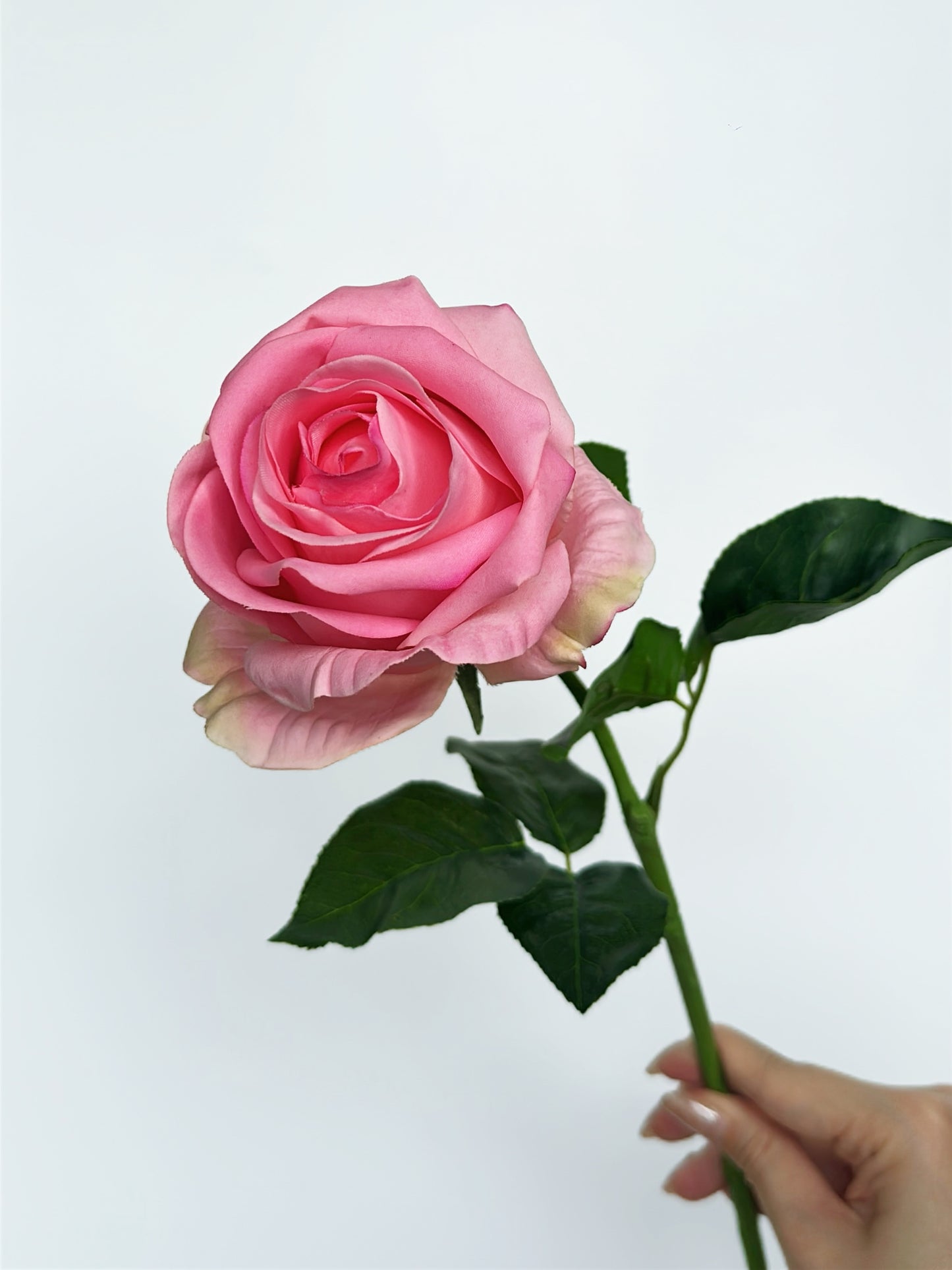 Deluxe Real Touch Rose in Bridal Blush Pink (Single-Stem Price)