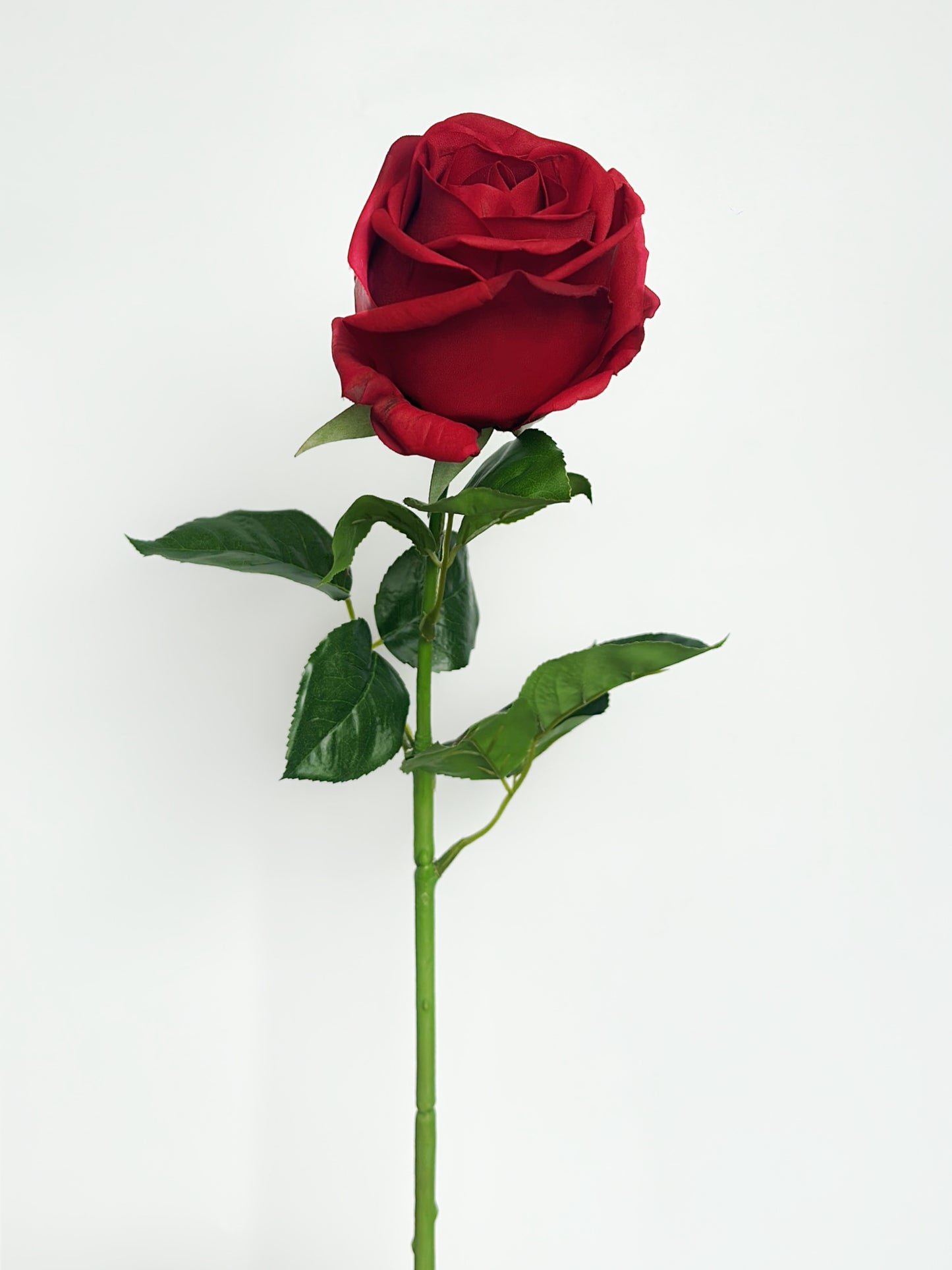 Deluxe Real Touch Rose in Classic Red (Single-Stem Price)
