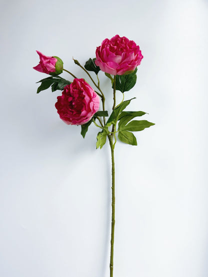 Deluxe 3-head Real Touch Peony Flower in Magenta