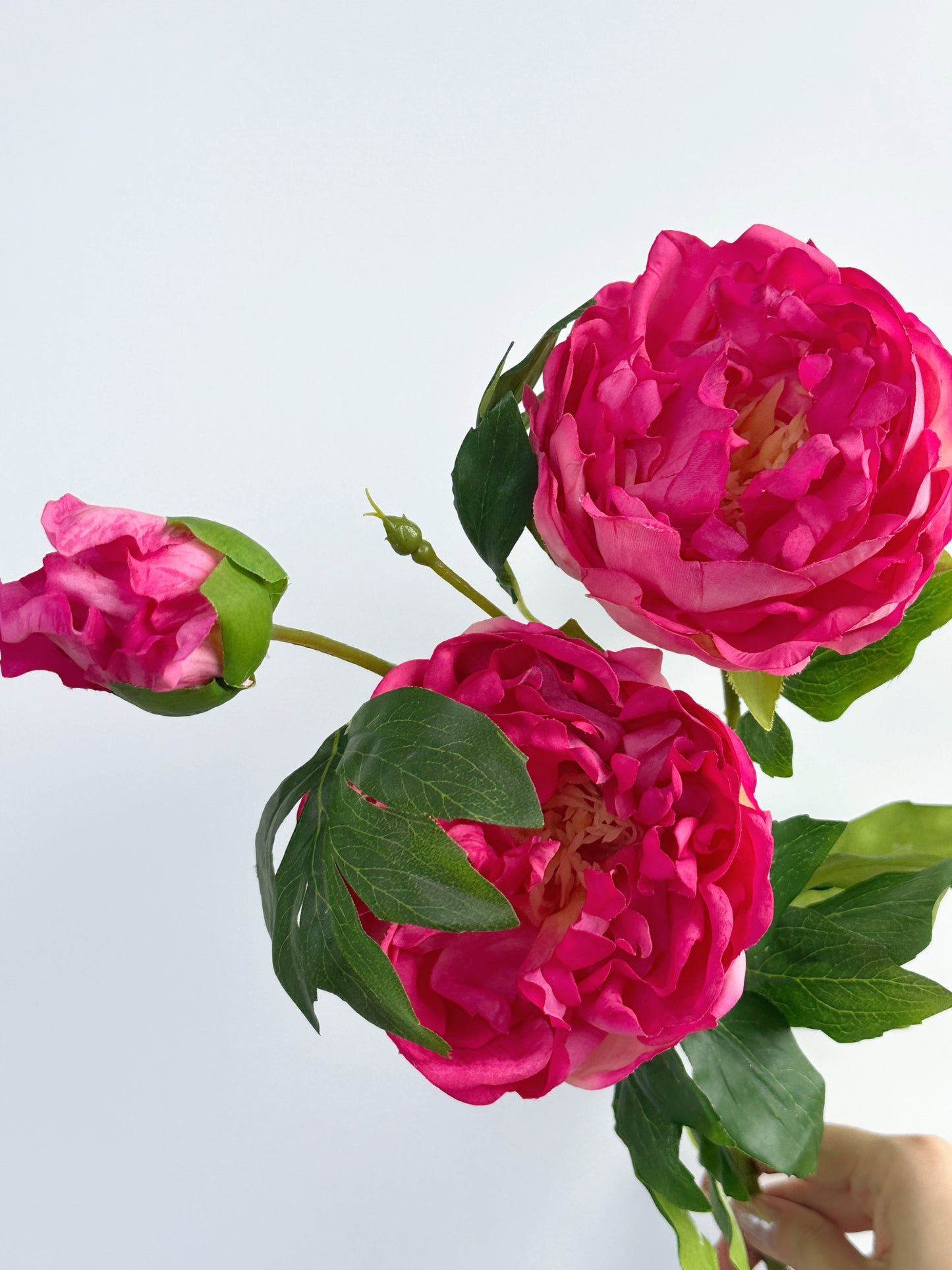 Deluxe 3-head Real Touch Peony Flower in Magenta