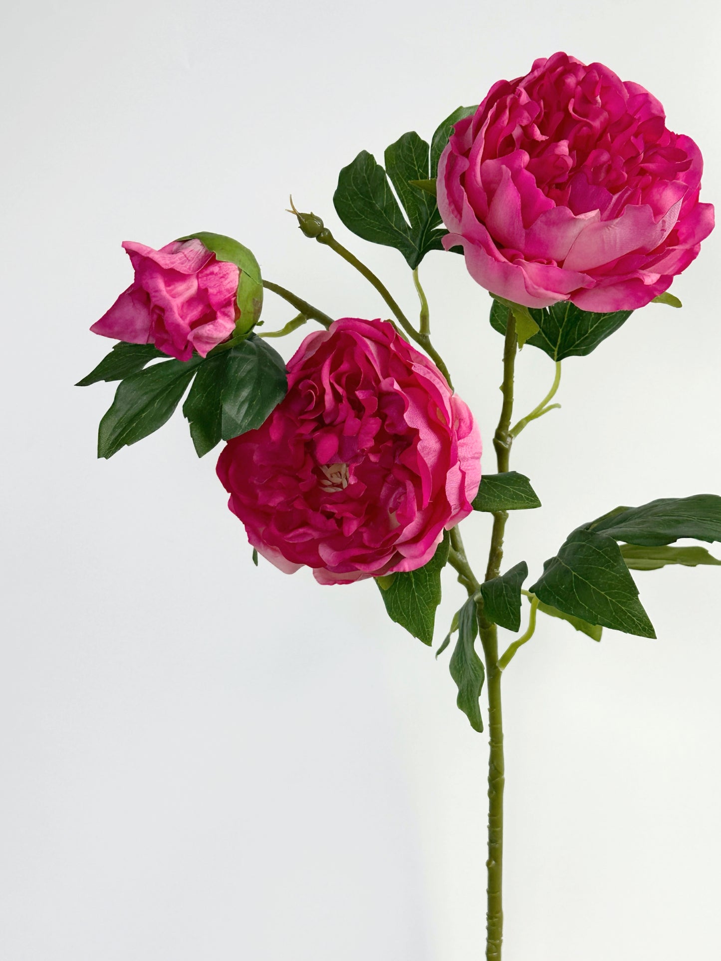 Deluxe 3-head Real Touch Peony Flower in Magenta