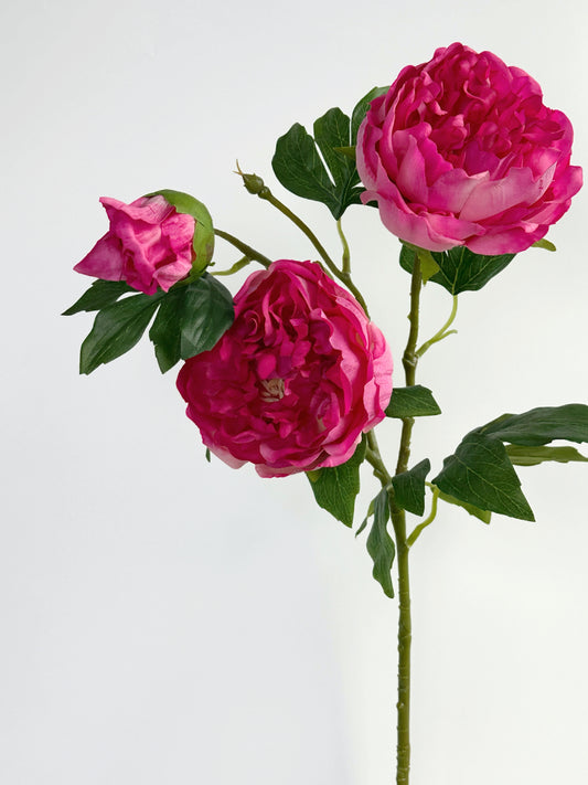 Deluxe 3-head Real Touch Peony Flower in Magenta