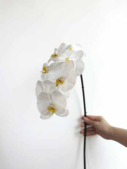 Deluxe Real Touch Phalaenopsis Orchid in Crisp White