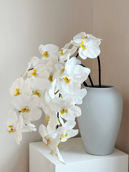 Deluxe Real Touch Phalaenopsis Orchid in Crisp White